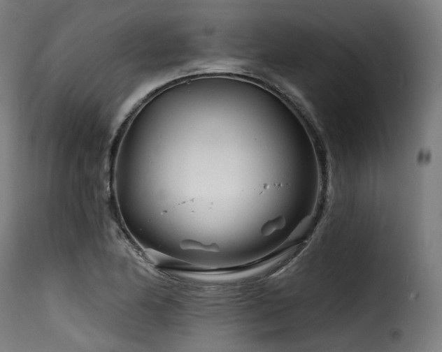 X0000116161174200911231358