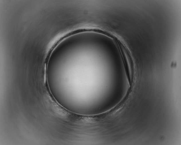X0000116161175200911231358