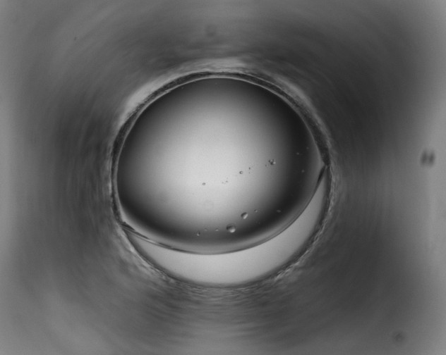 X0000116161176200911231358