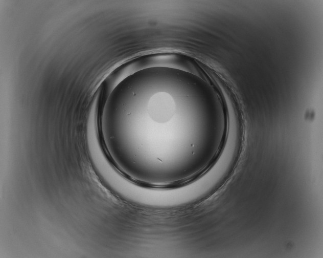 X0000116161177200911231358