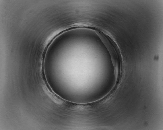 X0000116161179200911231358