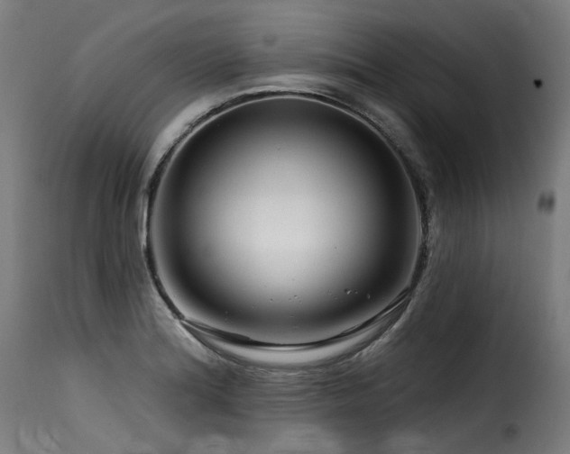 X0000116161180200911231358