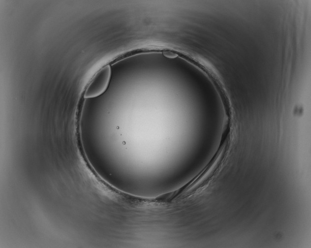 X0000116161183200911231358