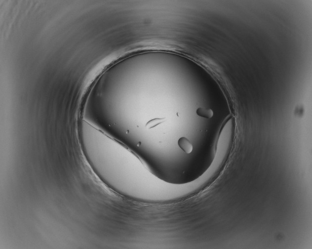 X0000116161188200911231358