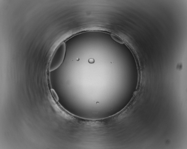 X0000116161189200911231358