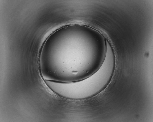 X0000116161192200911231357