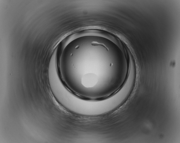 X0000116161193200911231357
