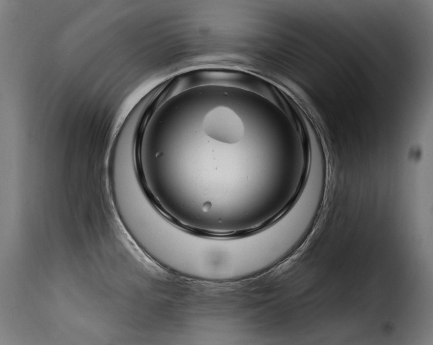 X0000116161196200911231357