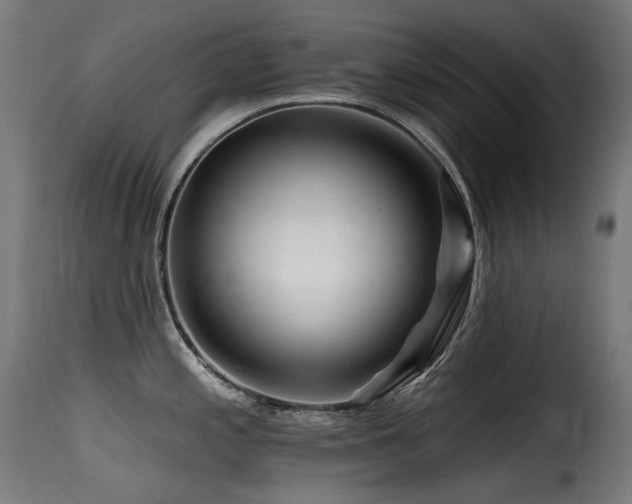 X0000116161197200911231357