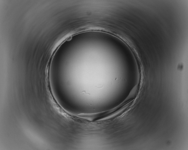 X0000116161198200911231357