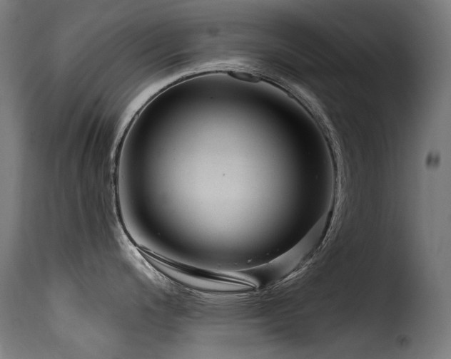 X0000116161200200911231357