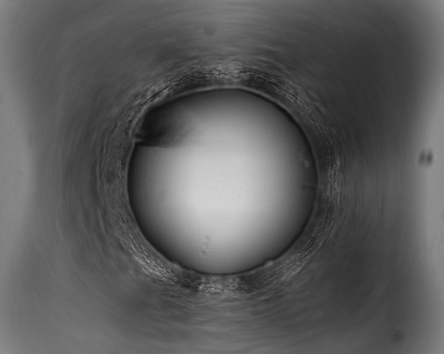 X0000116161201200911231357