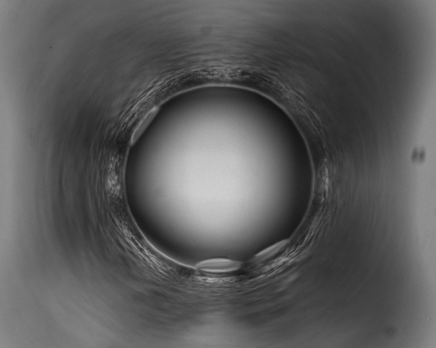X0000116161202200911231357