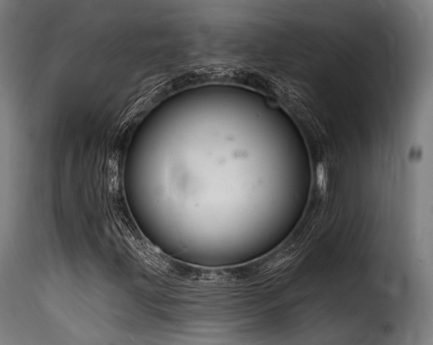 X0000116161203200911231357