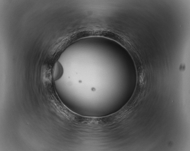 X0000116161204200911231357