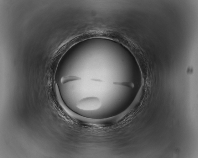 X0000116161206200911231357
