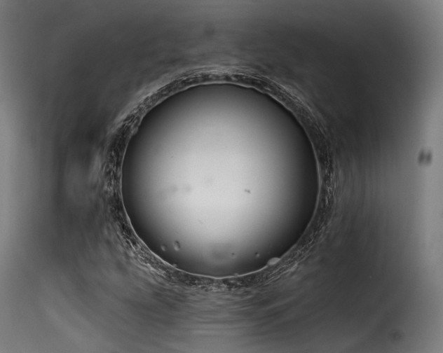 X0000116161207200911231357
