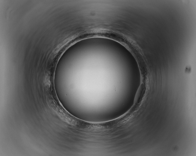 X0000116161209200911231357