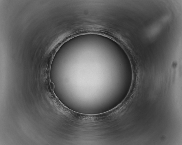 X0000116161211200911231357