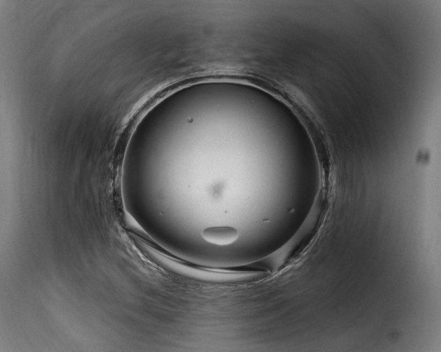 X0000116161212200911231357