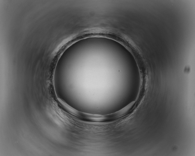 X0000116161213200911231357