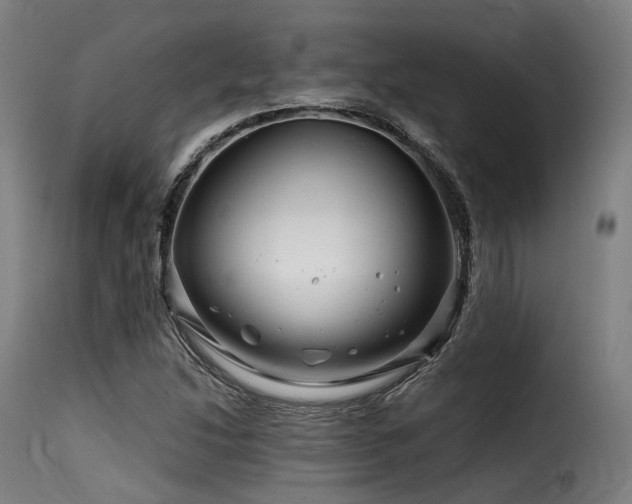 X0000116161214200911231357