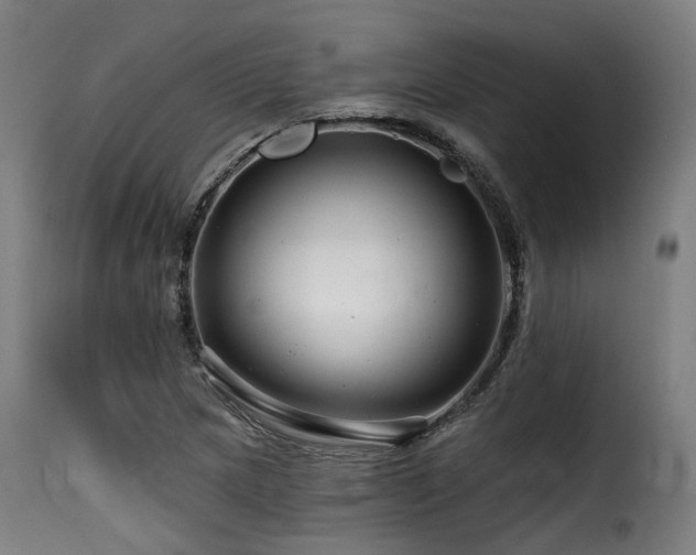 X0000116161217200911231357