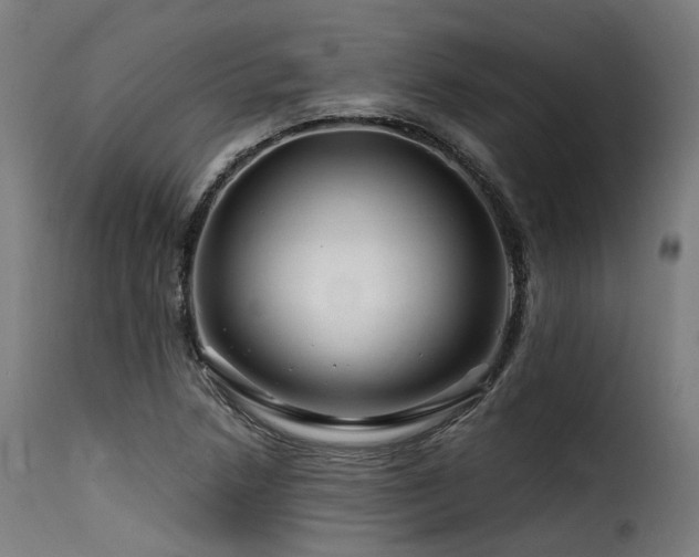 X0000116161218200911231357