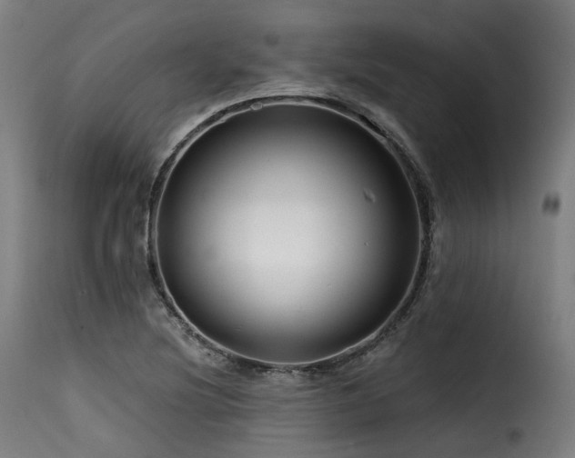 X0000116161220200911231357