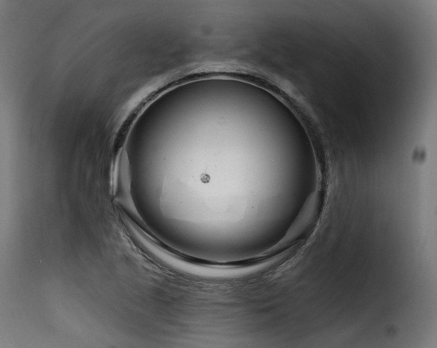 X0000116161221200911231357