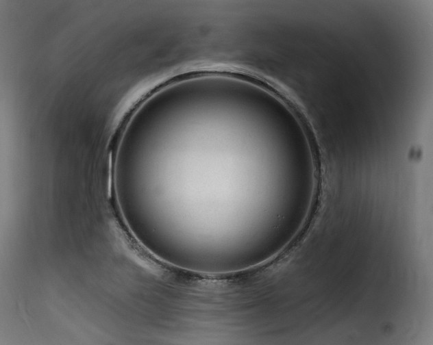 X0000116161223200911231357
