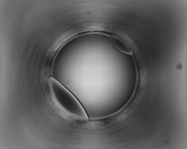 X0000116161225200911231357