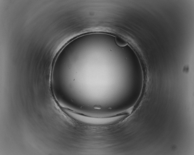X0000116161228200911231357