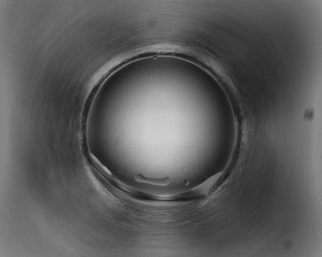 X0000116161229200911231357