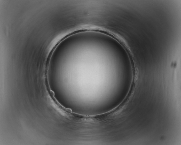 X0000116161231200911231357
