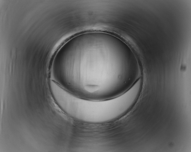 X0000116161232200911231357