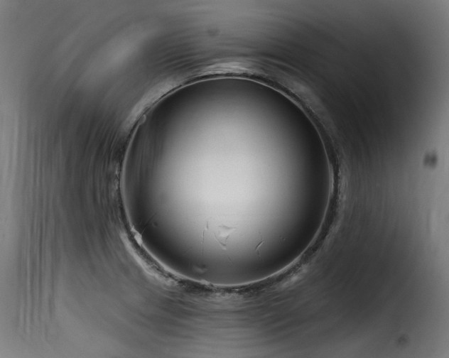 X0000116161233200911231357