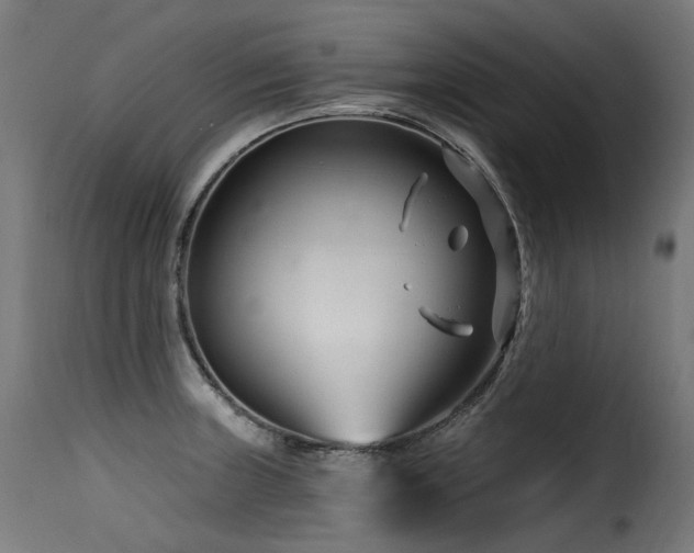 X0000116161235200911231357