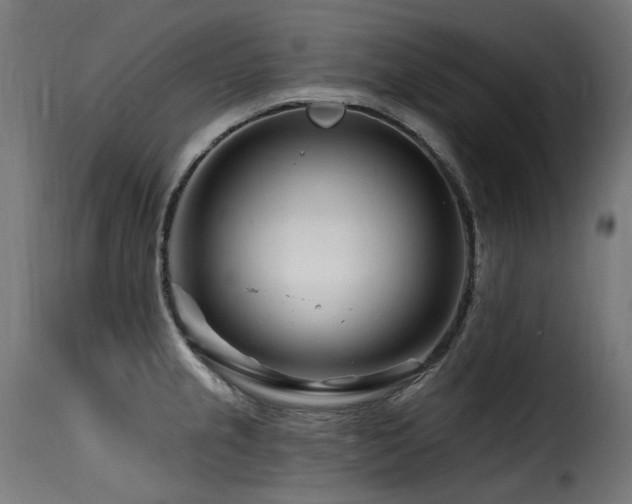 X0000116161237200911231357