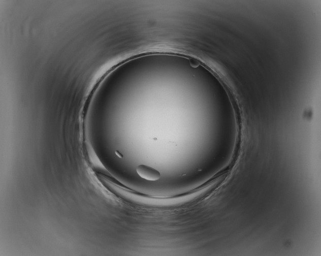 X0000116161238200911231357