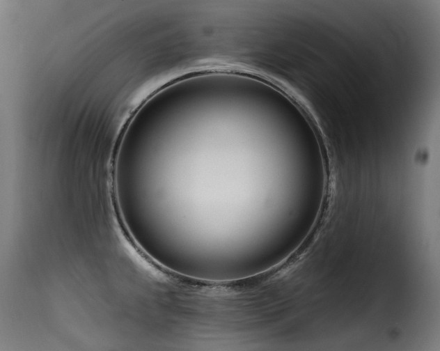 X0000116161239200911231357