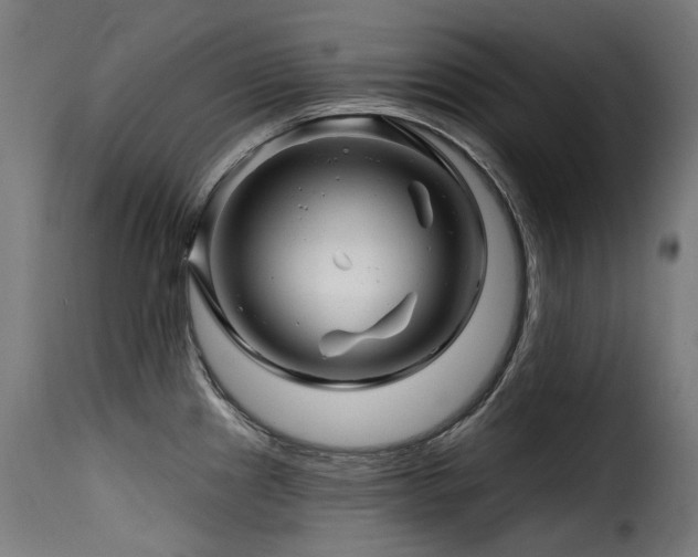 X0000116161241200911231357