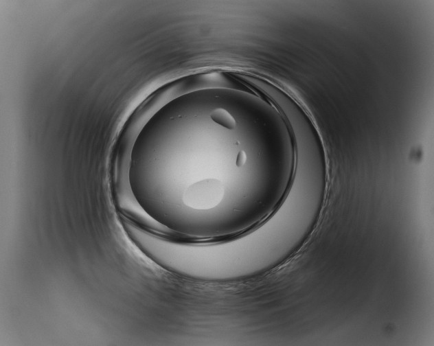 X0000116161243200911231357