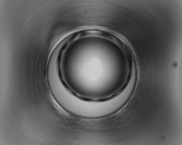 X0000116161244200911231357