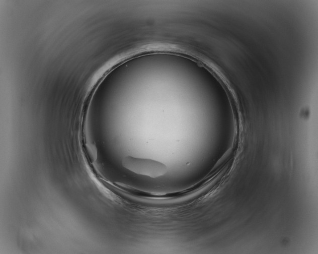 X0000116161245200911231357