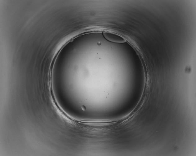 X0000116161247200911231357