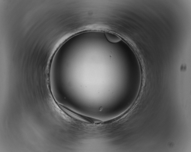 X0000116161248200911231357
