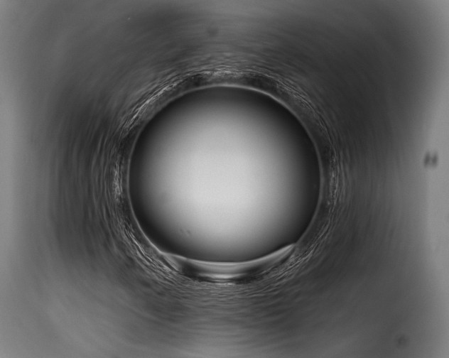 X0000116161250200911231357