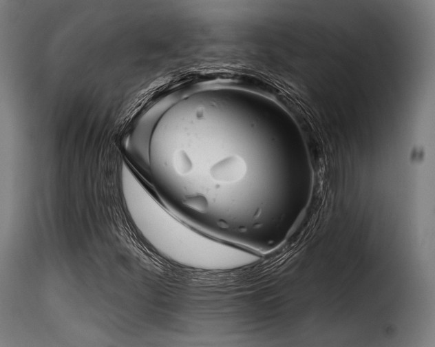 X0000116161252200911231357