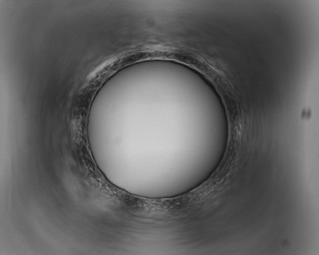 X0000116161254200911231357